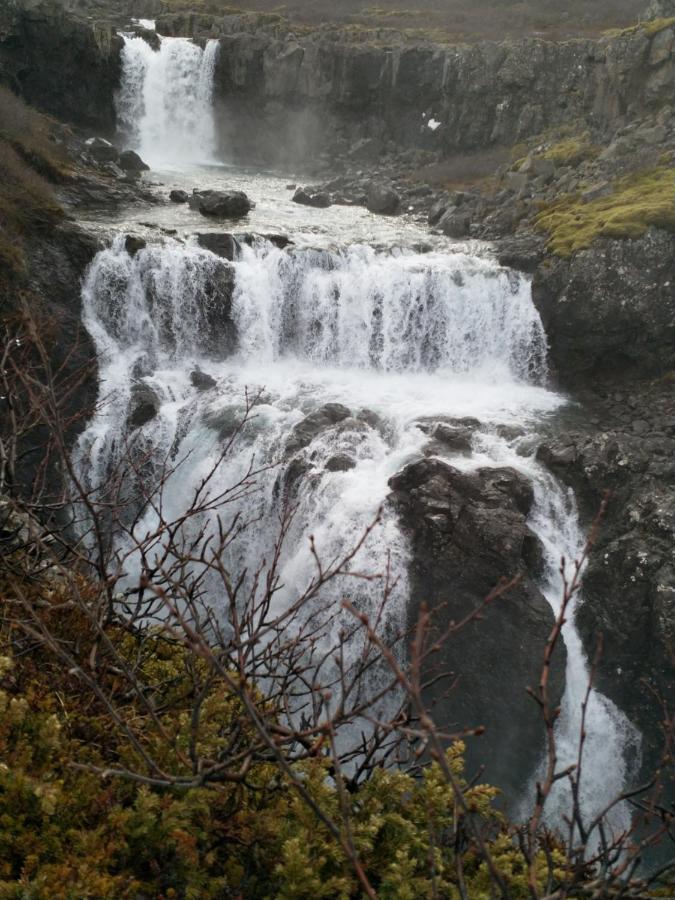 Appartement Aegisholt Privete House With Hot Tub à Patreksfjordur Extérieur photo
