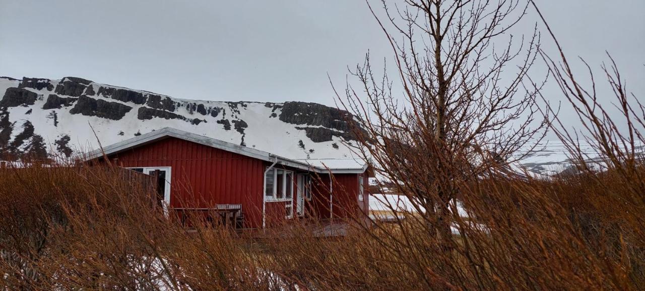 Appartement Aegisholt Privete House With Hot Tub à Patreksfjordur Extérieur photo